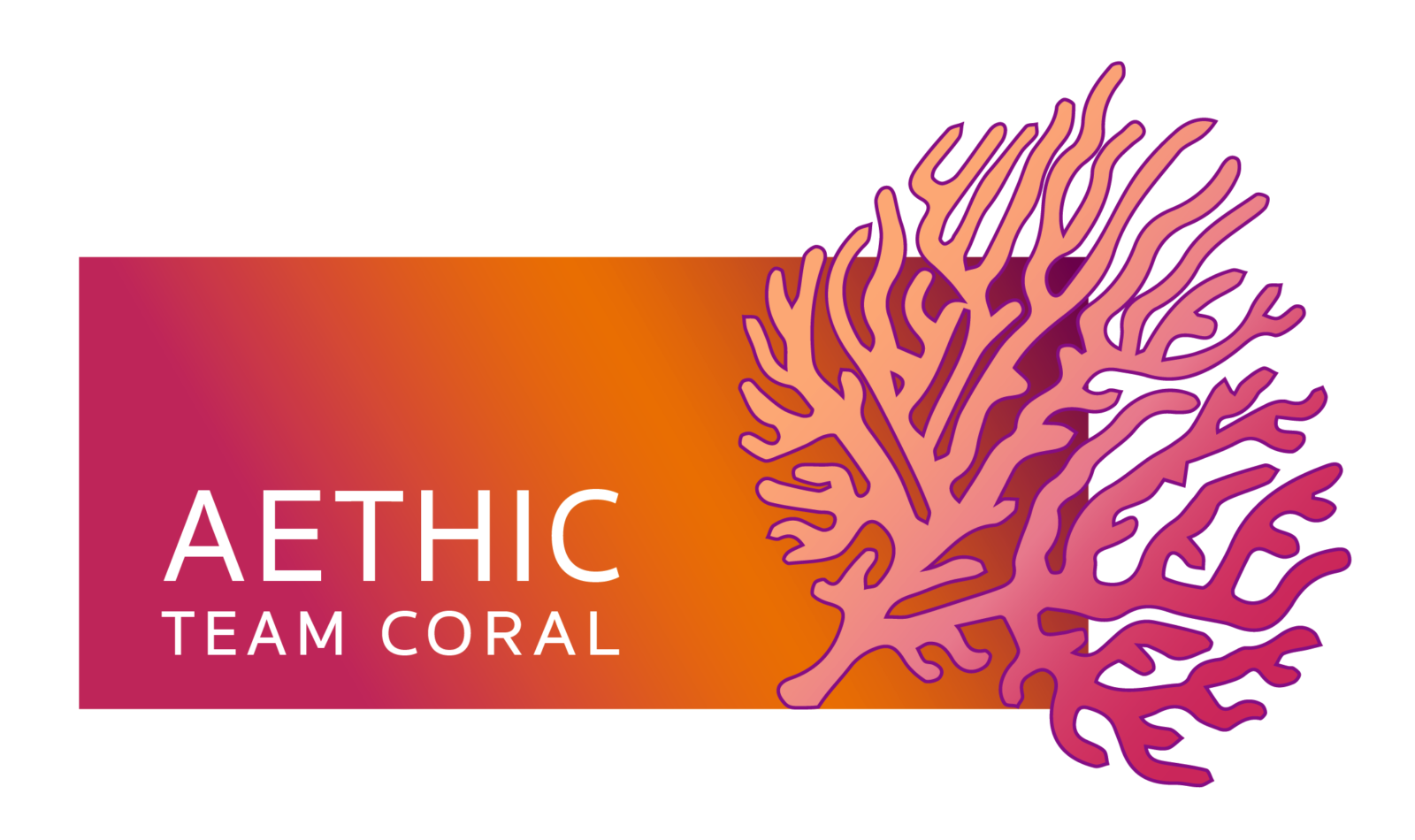 Aethic team coral the proof eco compatible 