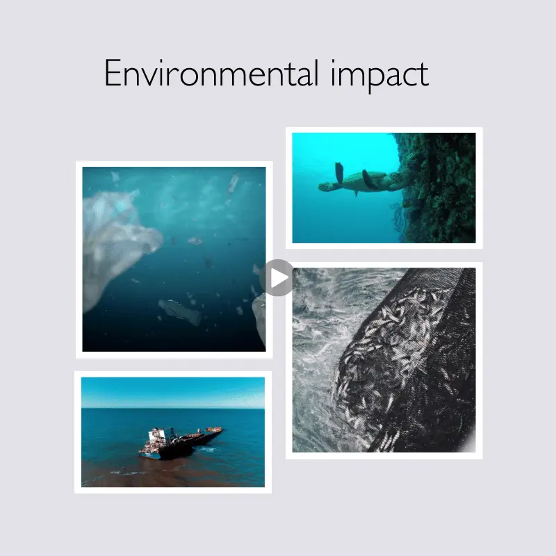 ocean health - environmental impact 